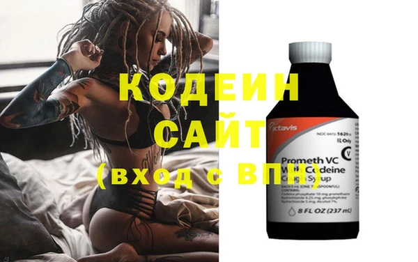 ПСИЛОЦИБИНОВЫЕ ГРИБЫ Арсеньев