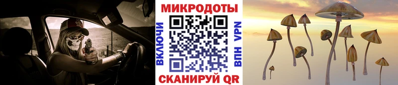Псилоцибиновые грибы прущие грибы  Хилок 